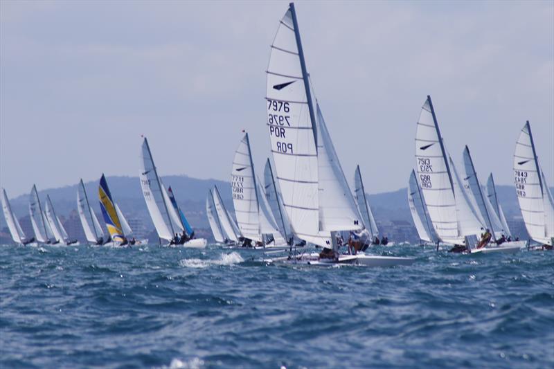 Dart 18 World Championship at Royal Varuna Yacht Club - Day 3