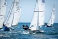 Devon Yawl Nationals 2023 © Paul Gibbins Photography