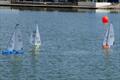 DF95 Summer Series event 1 at Barton's Point © Peter Jackson
