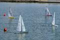 DF95 Summer Series event 1 at Barton's Point © Peter Jackson