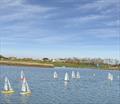 Most of the fleet downwind - DF95 Autumn Series at Barton's Point week 6