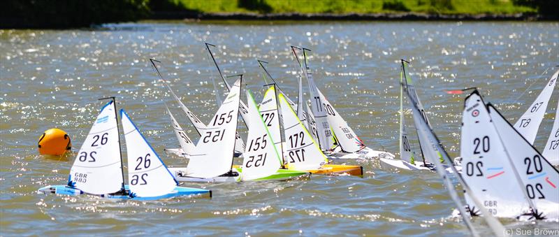 DF95 Nationals at Two Islands RYC in Milton Keynes photo copyright Sue Brown taken at Two Islands Radio Yacht Club and featuring the DF95 class