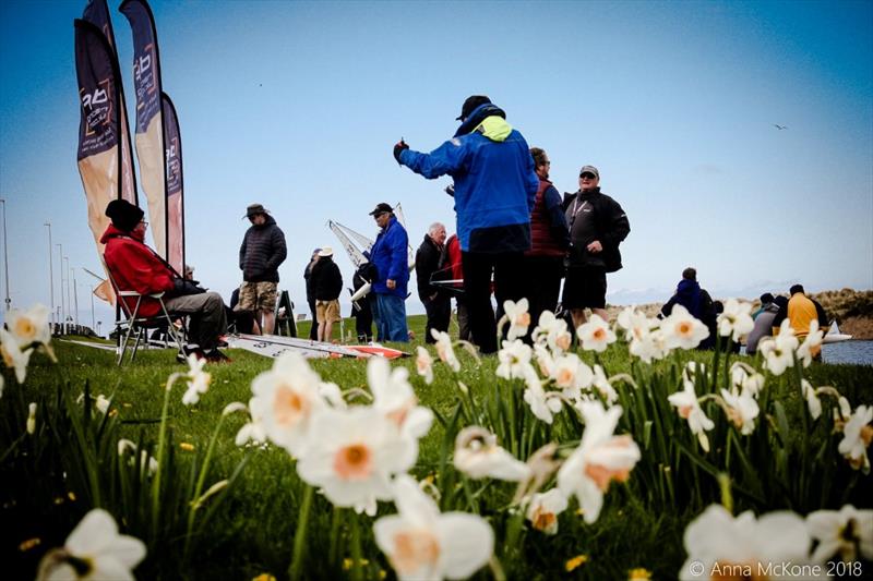 Daffodills out in the sunshine during the DF Racing UK 2018 TT Series at Fleetwood photo copyright Anna McKone taken at Fleetwood Model Yacht Club and featuring the DF95 class