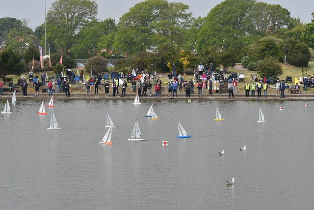 DF95 Nationals at Eastbourne photo copyright Dave Pickett taken at Eastbourne & District Model Yacht Club and featuring the DF95 class