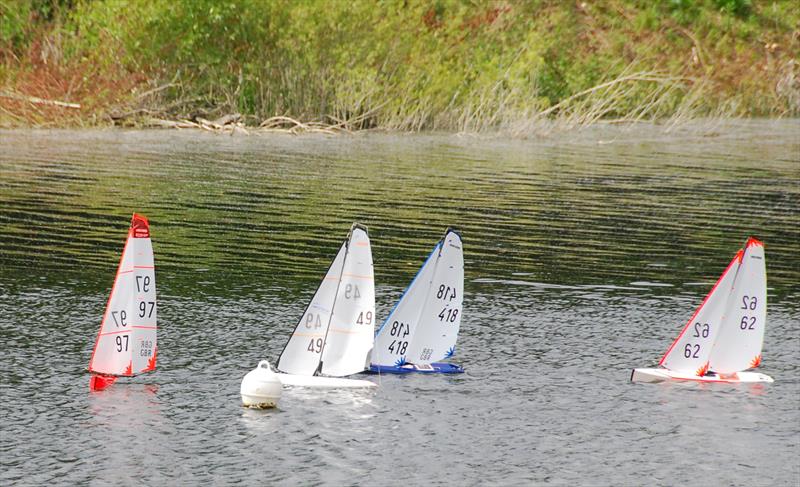 DF95 Open at Abbey Meads photo copyright Roger Stollery taken at Guildford Model Yacht Club and featuring the DF95 class