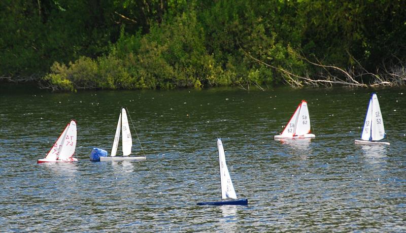 DF95 Open at Abbey Meads photo copyright Roger Stollery taken at Guildford Model Yacht Club and featuring the DF95 class