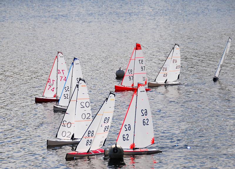 DF95 Open at Abbey Meads photo copyright Roger Stollery taken at Guildford Model Yacht Club and featuring the DF95 class