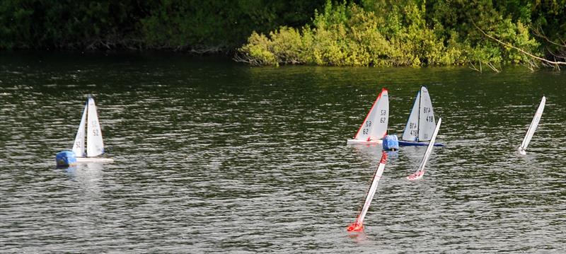 DF95 Open at Abbey Meads photo copyright Roger Stollery taken at Guildford Model Yacht Club and featuring the DF95 class