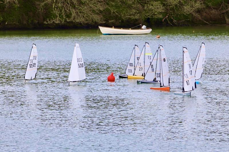 Model yacht racing at Salcombe Yacht Club photo copyright Lucy Burn taken at Salcombe Yacht Club and featuring the DF95 class