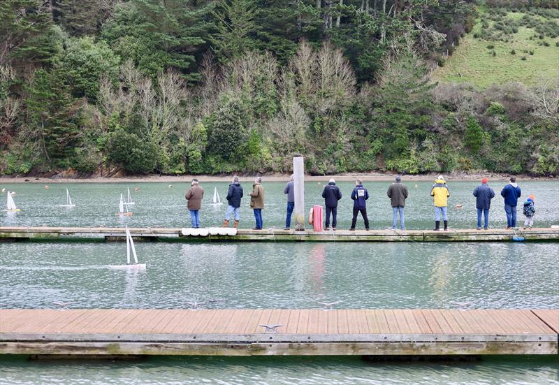 Model yacht racing at Salcombe Yacht Club - photo © Lucy Burn