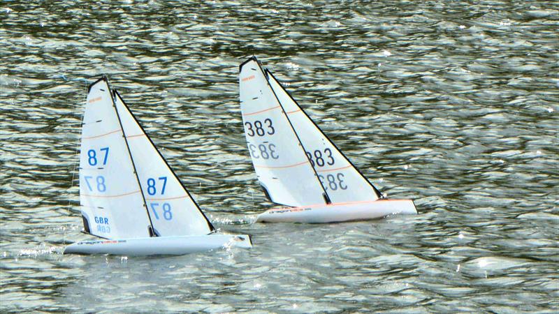 2022 MYA Scottish District DF95 Championship at Greenock photo copyright David Addison taken at Greenock Model Yacht and Power Boat Club and featuring the DF95 class
