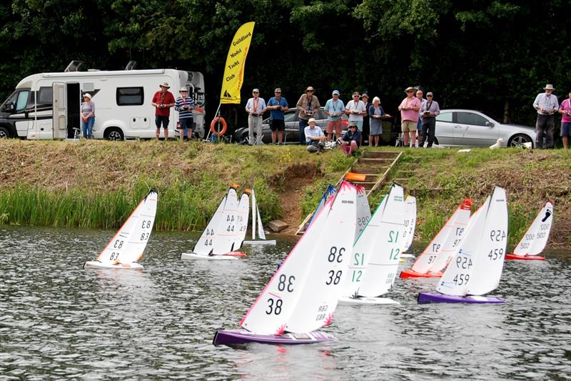 Ken Binks (83) gets the best start and goes on to win Race 11 during the 2022 DF95 Ash Trophy at Abbey Meads photo copyright Roger Stollery taken at Guildford Model Yacht Club and featuring the DF95 class