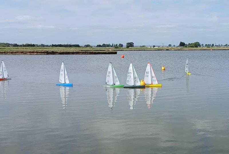 DF95 Spring Series event 8 at Barton's Point - photo © Peter Jackson