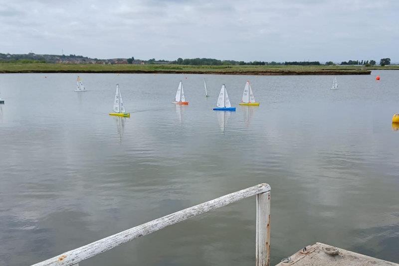 DF95 Spring Series event 8 at Barton's Point - photo © Peter Jackson