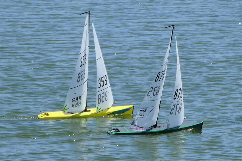 DF95 Summer Series event 1 at Barton's Point - photo © Peter Jackson