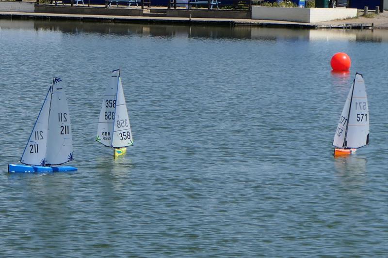 DF95 Summer Series event 1 at Barton's Point - photo © Peter Jackson