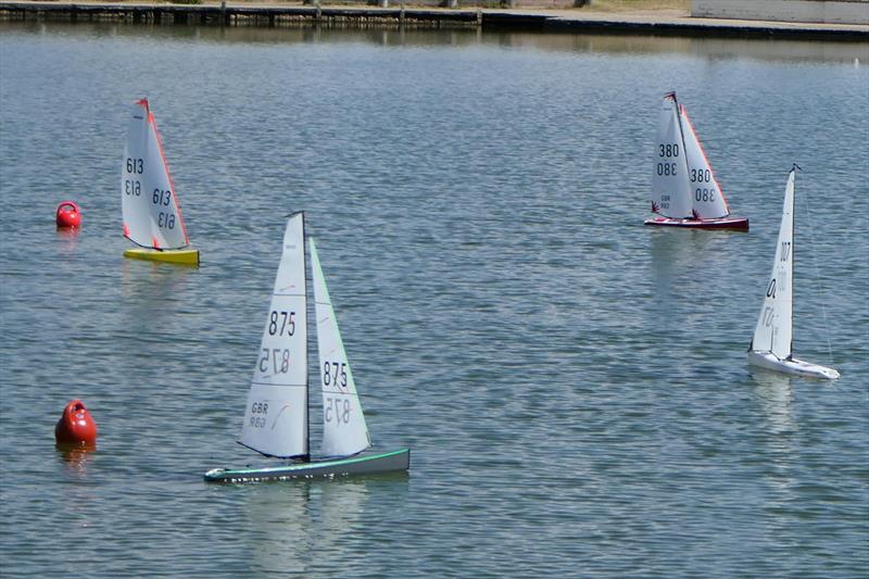 DF95 Summer Series event 1 at Barton's Point - photo © Peter Jackson