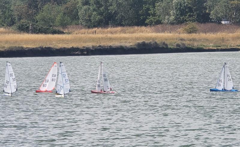 DF95 Summer Series event 4 at Barton's Point - photo © Debbie LaRoche