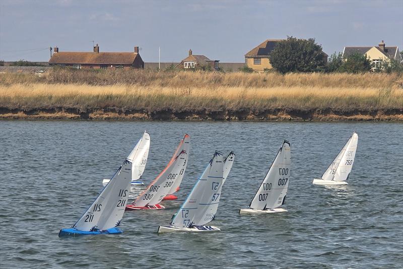 DF95 Summer Series event 4 at Barton's Point - photo © Debbie LaRoche