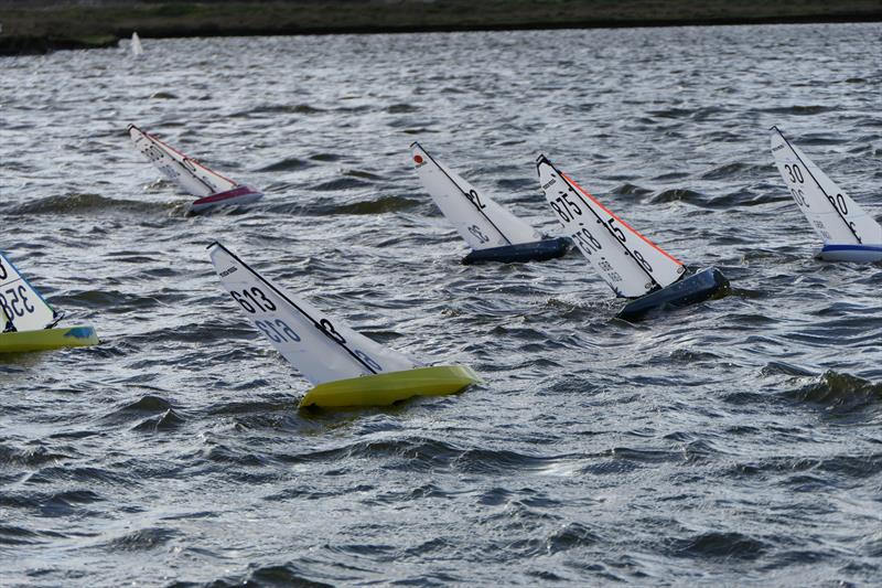 DF95 Summer Series event 6 at Barton's Point - photo © Alan Hounsell