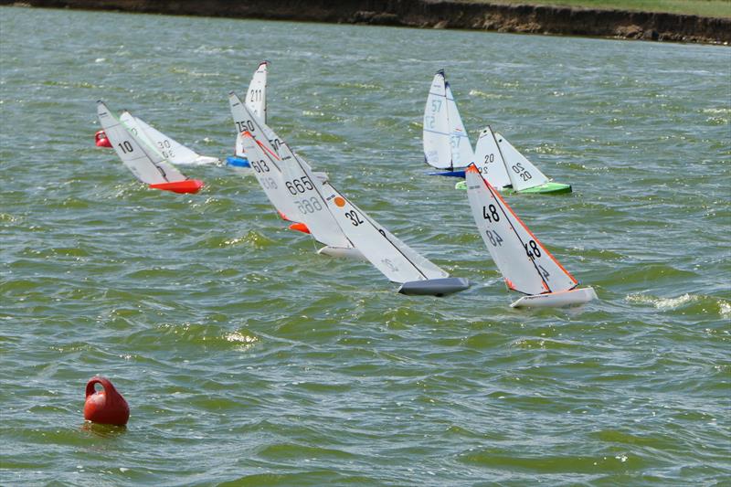 B Rig Start - DF95 Summer Series at Barton's Point Week 1 - photo © Alan Hounsell