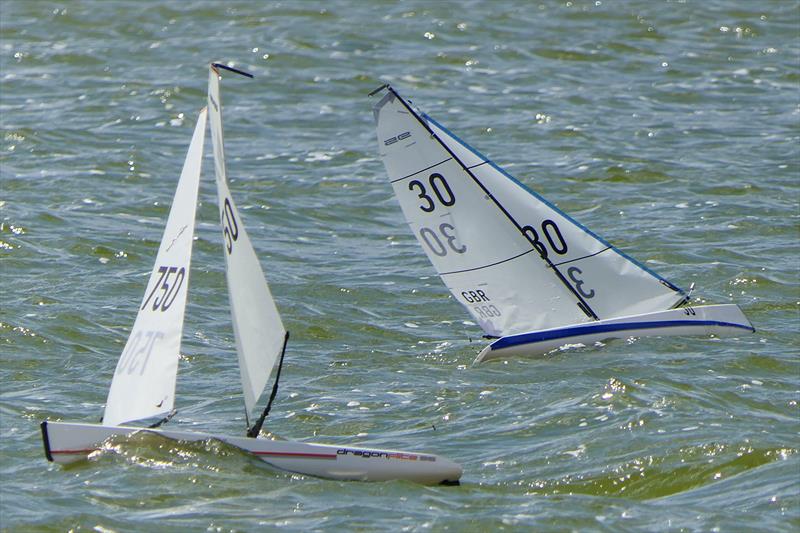 B Rig Gate 1 - DF95 Summer Series at Barton's Point Week 1 - photo © Alan Hounsell