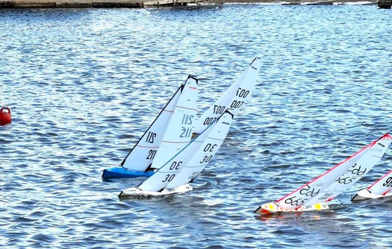Peter J (211) and Adrian T (30) ended up with 6 wins each - DF95 Summer Series at Barton's Point week 4 - photo © Mike Brand