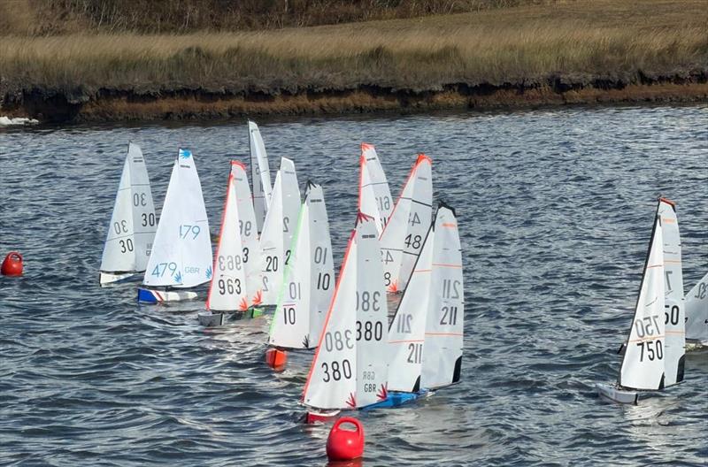 DF95 Summer Series at Barton's Point week 5 - start gun fires - photo © Mike Brand
