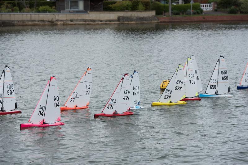 Rooster DF95 Regatta at Emsworth - photo © Don Manson