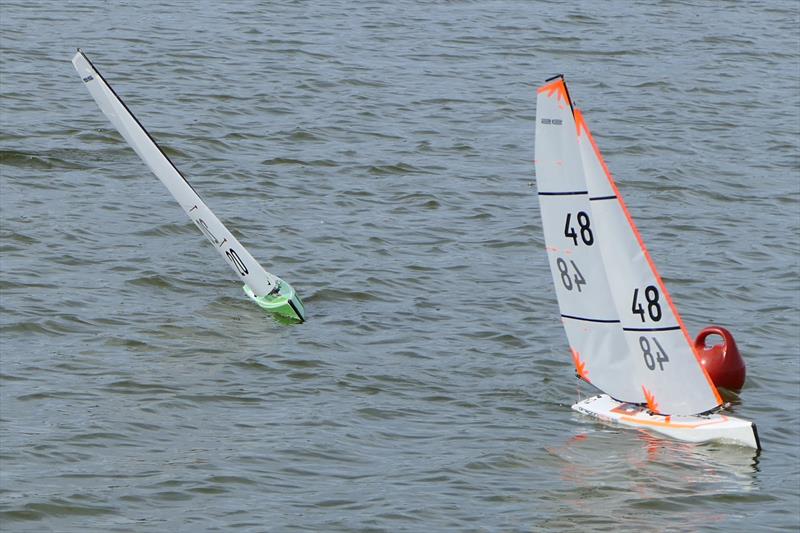 DF95 Summer Series at Barton's Point week 8 - Colin Honour leading Paul Woodward home mid flee - photo © Alan Hounsell