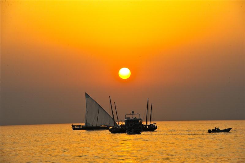 Al Gaffal long distance 60ft traditional dhow race photo copyright DIMC taken at  and featuring the Dhow class