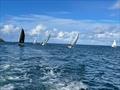 Dinghy sailing at St Ives Sailing Club © David Eddy / S.I.S.C.