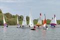 Young sailors compete in Dragon Series at Gresford &copy; GSC