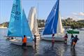 &copy; SVG Sailing Association