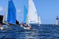 &copy; SVG Sailing Association