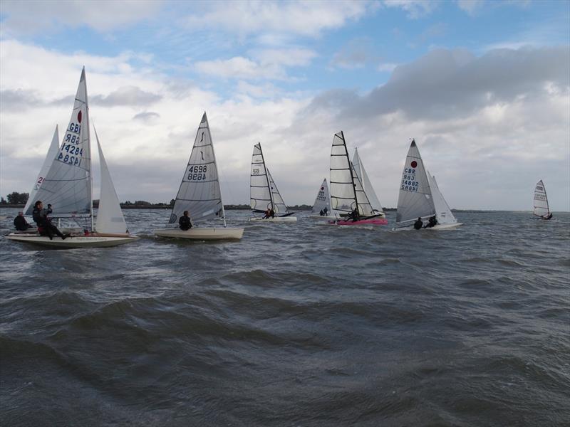 Blackwater Dyer Cup photo copyright Steve Jarrad taken at Blackwater Sailing Club and featuring the Dinghy class