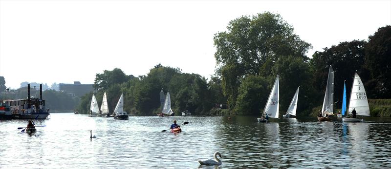 Swans, sails and a Mississipi style paddle steamer – this could only be the Thames. Minima competitors hugging the west bank at Kingstonat the Minima Regatta photo copyright Rob Mayley taken at Minima Yacht Club and featuring the Dinghy class