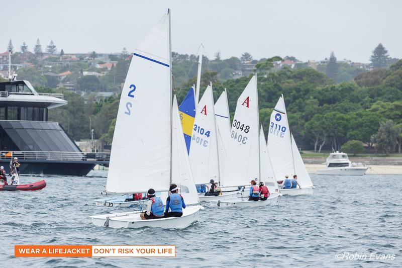 2017 Sail Sydney - photo © Robin Evans