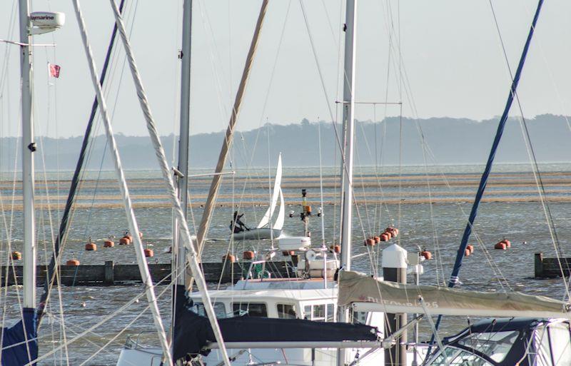 Tig and Pete leading the way back up the river during Santa's Sailing Dash at Lymington Town photo copyright Lou Johnson taken at Lymington Town Sailing Club and featuring the Dinghy class