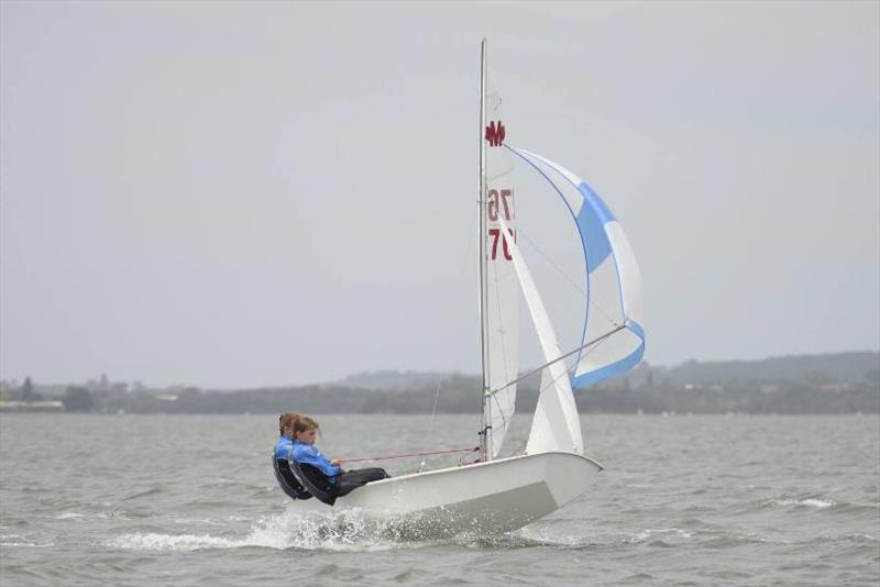 Manly Junior 50th National Titles photo copyright Port Kembla Sailing Club taken at Port Kembla Sailing Club and featuring the Dinghy class