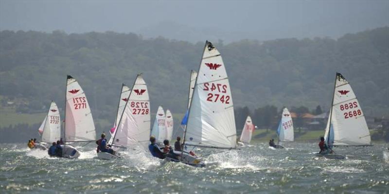 Manly Junior 50th National Titles fleet photo copyright Port Kembla Sailing Club taken at Port Kembla Sailing Club and featuring the Dinghy class