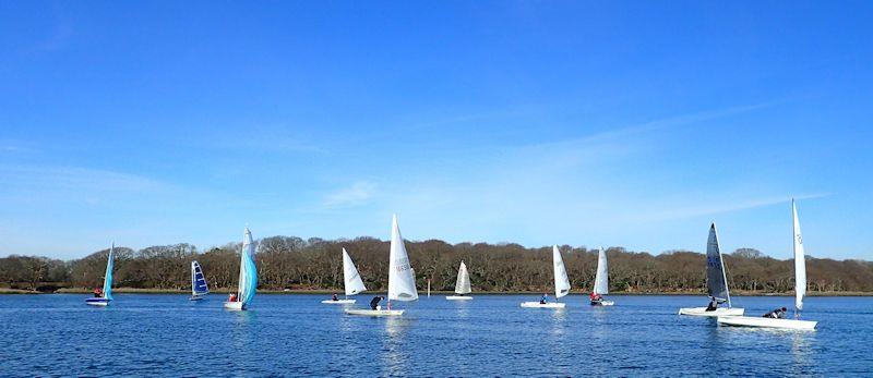 Chichester Yacht Club Snowflake Series day 3 photo copyright Paula Olliff taken at Chichester Yacht Club and featuring the Dinghy class