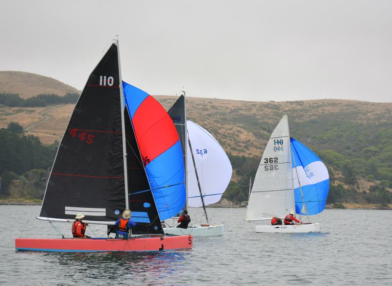 Big Pink with Milly Biller steering and crew Bruce Ahlborn trying to capture a little breeze, please - photo © Image courtesy of Kimball Livingston