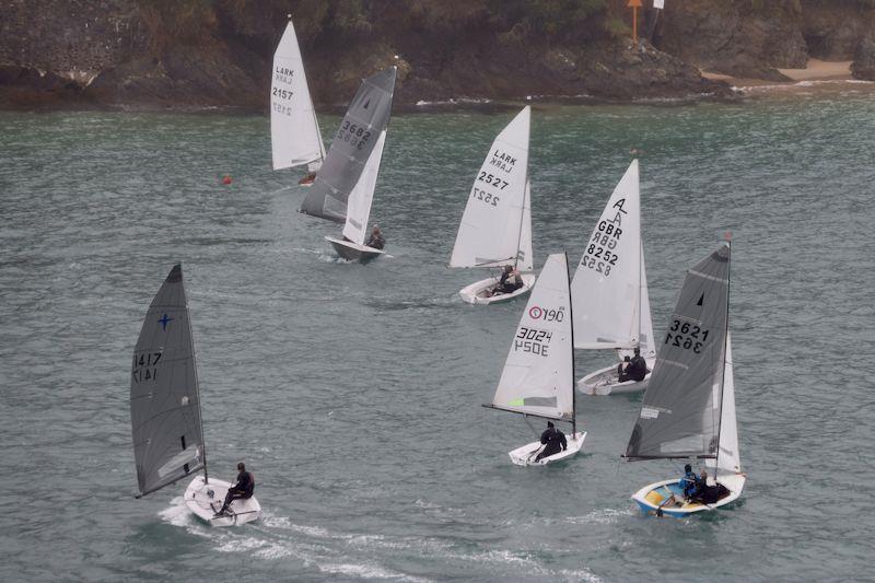 Salcombe Yacht Club Winter Series Race 5 photo copyright Lucy Burn taken at Salcombe Yacht Club and featuring the Dinghy class