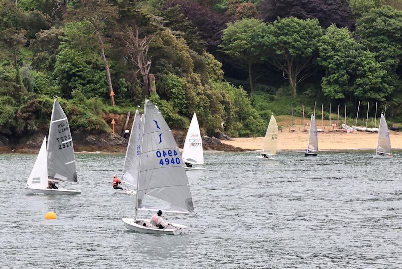 Salcombe YC Midweek Spring Series race 4 photo copyright Lucy Burn taken at Salcombe Yacht Club and featuring the Dinghy class