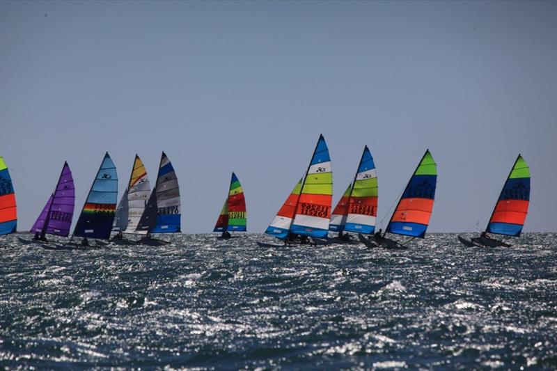 23-24 Australian Hobie Cat National Championships - photo © Paddy Butler