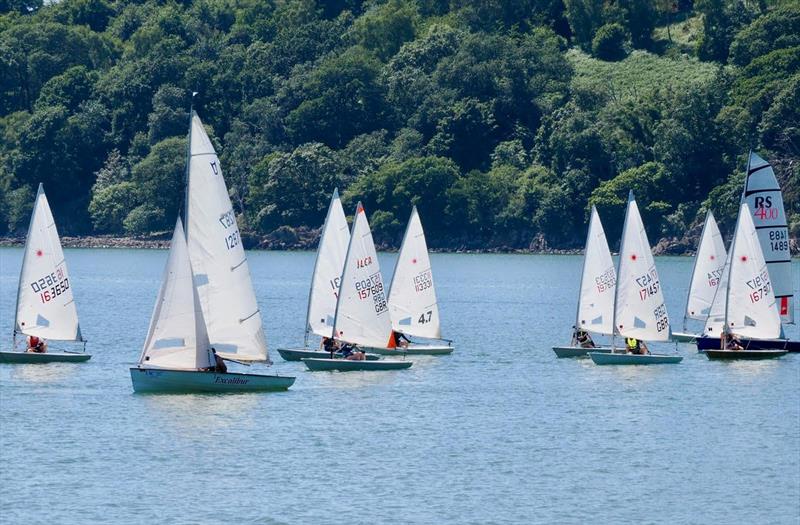 A while fleet of ILCAs mixing it with a couple of the bigger boats - club racing at Solway - photo © Margaret Purkis