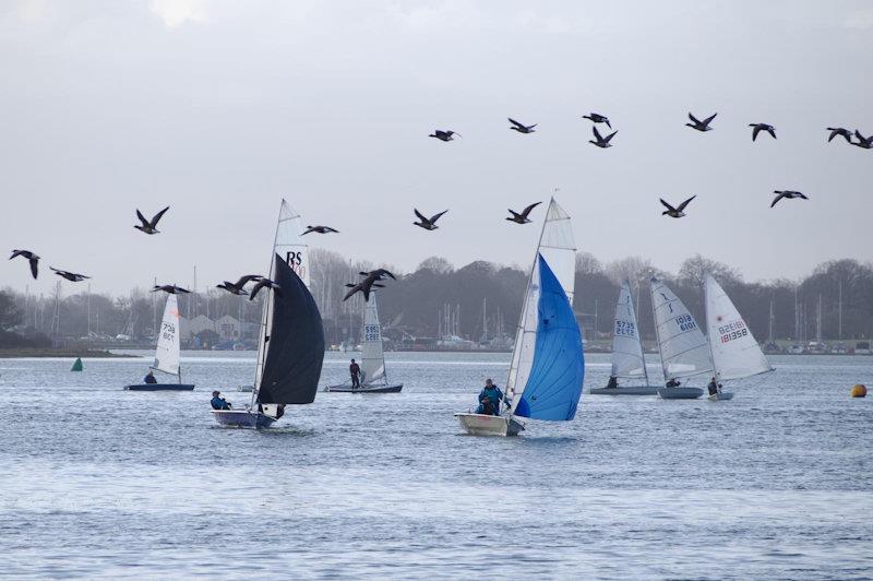 Dell Quay Frostbite Series day 4 - race 7 photo copyright Fabienne Boue-Bigne taken at Dell Quay Sailing Club and featuring the Dinghy class