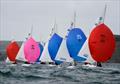 Irish South Coast Dragons 2014 at Glandore © Kathleen Hayes