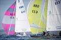 © Manon Le Guen / Yanmar Dragon Gold Cup 2025 / Société des Régates de Douarnenez